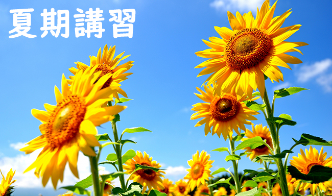 綾瀬市　学習塾